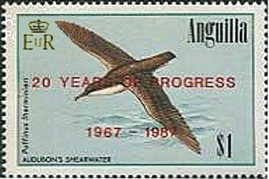 Bagging Lobsters at Island Harbour