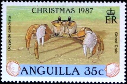 Blear Eye (Priacanthus arenatus)