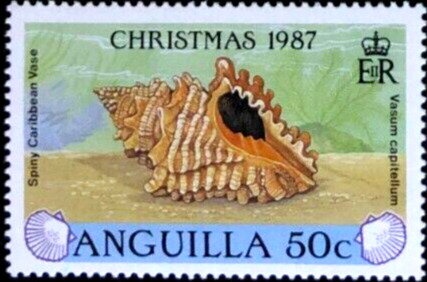 Princess Diana 40th Birth Anniversary