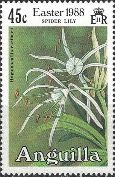 Mallard (Chen caerulescens) Sheet