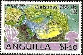 Humpback Whale (Megaptera novaeangliae)