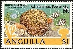 Legends of the 20th Century