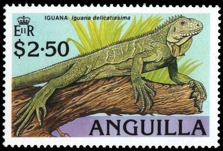 Summer Olympic Games 1984 - Los Angeles