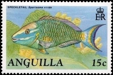 Unicorn Whale (Narwhal) (Monodon monoceras)