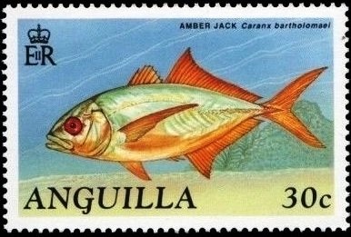 Spindle Finding the Prince