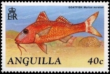 Referendum Ballot Paper, 1967