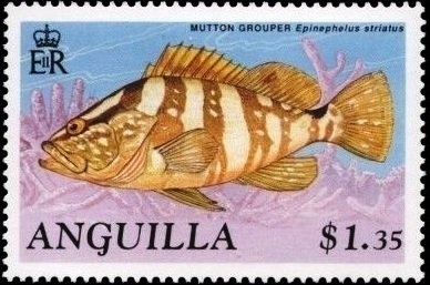 Ball in Net - Overprinted