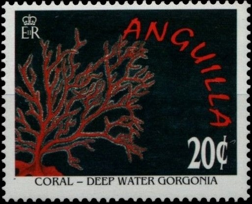 Millennium 2000 Cinema/Concorde/Space/Polar