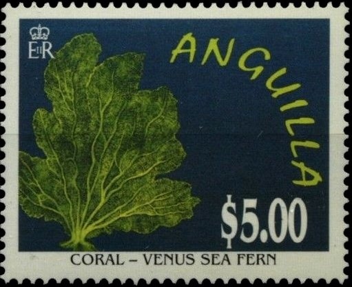 "Virgin and Child on Ass"