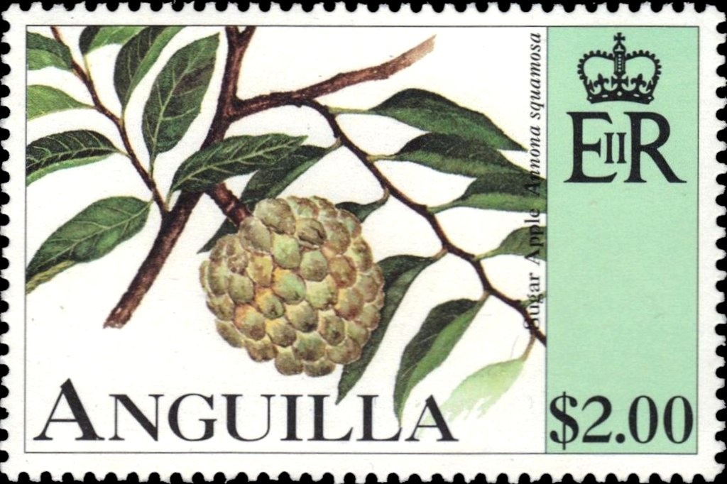 Awakened by a Bird´s Sweet Song