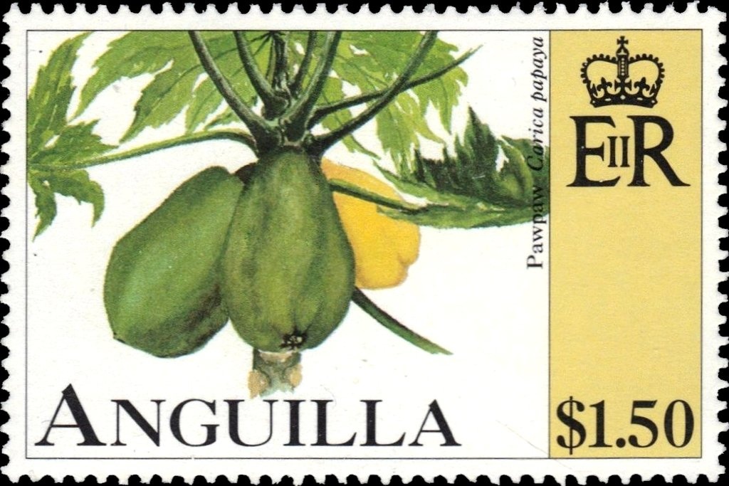 Pearly-eyed Thrasher (Margarops fuscatus) - Overprinted