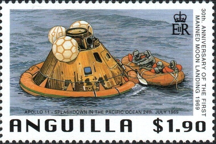 American Sparrow Hawk (Falco sparverius) - Overprinted