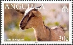 Boat Race at Sunset, Sandy Ground - Overprinted