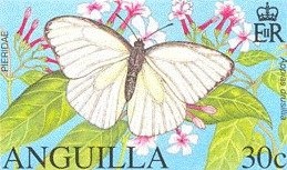 "Sibyls and Angels" (detail)