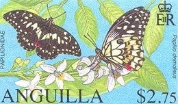 Sir Winston Churchill and St. Paul's Cathedral in Wartime