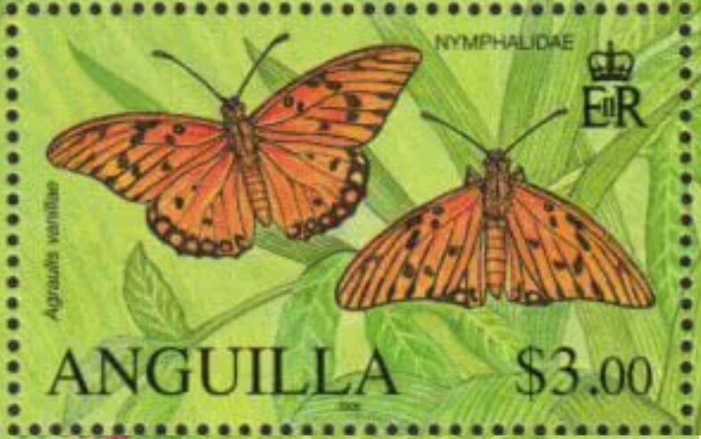 Emergency Food Kitchen, Sri Lanka