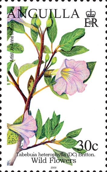 The Princess of Wales