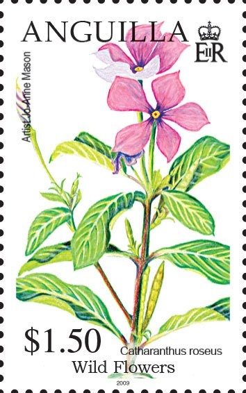 "Apollo 17" Astronaut and Lunar Rock Formation