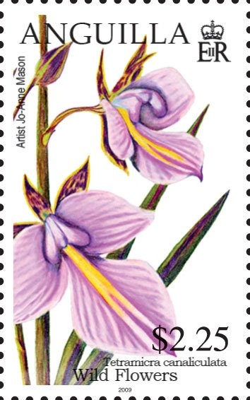 Train Guard, Swiss Post-bus (1906) and Italian Hydrofoil