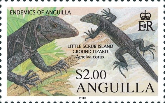 New Sombrero Lighthouse, 2001