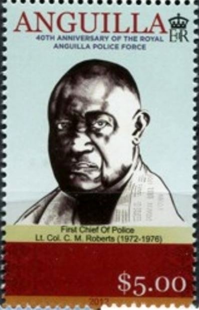 Reticulated Cowry Helmet (Cypraecassis testiculus)