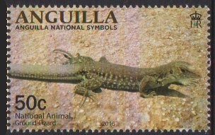 Stoplight Parrotfish (Sparisoma viride)