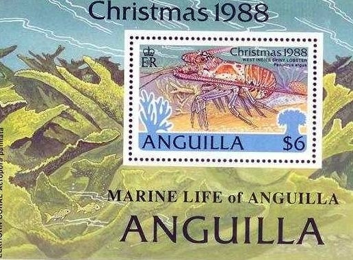 Martin Alonzo Pinzon with Telescope