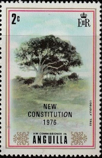 Pond Boat (Corvel Fleming)