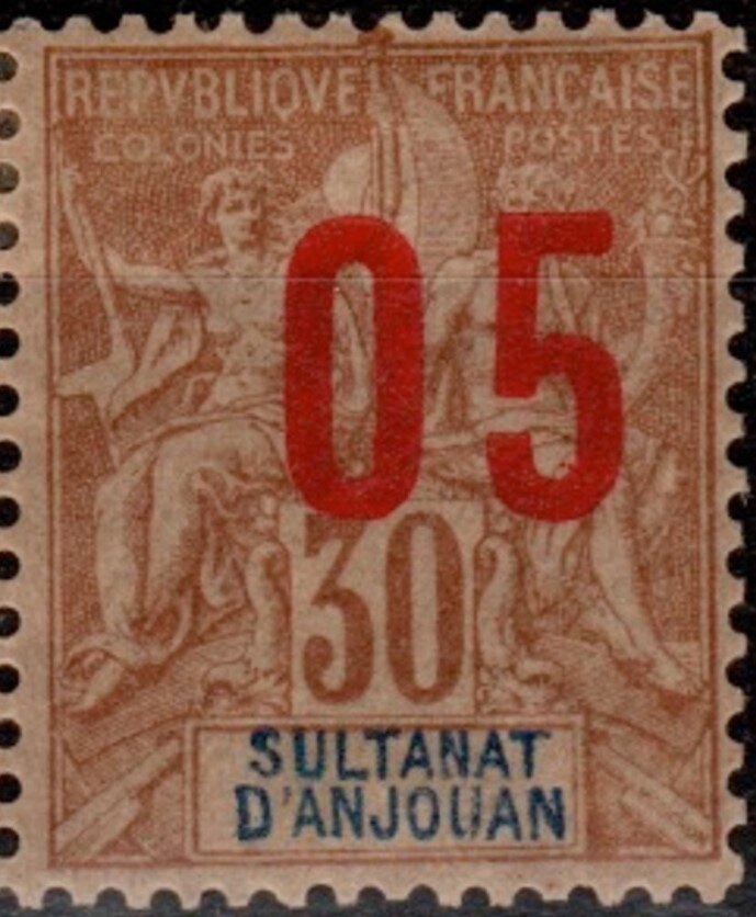 Needle Tidying up the House