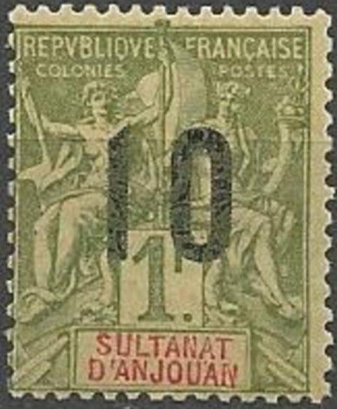 "Sleepy Owl Perched on a Pine Branch"