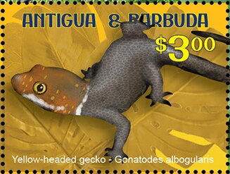 Stamp of 1862 and RMSP "Solent I" at English Harbour