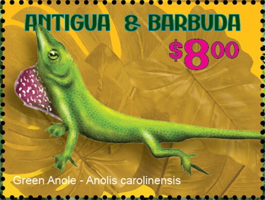 Prince Charles at RAF College, Cranwell, 1971