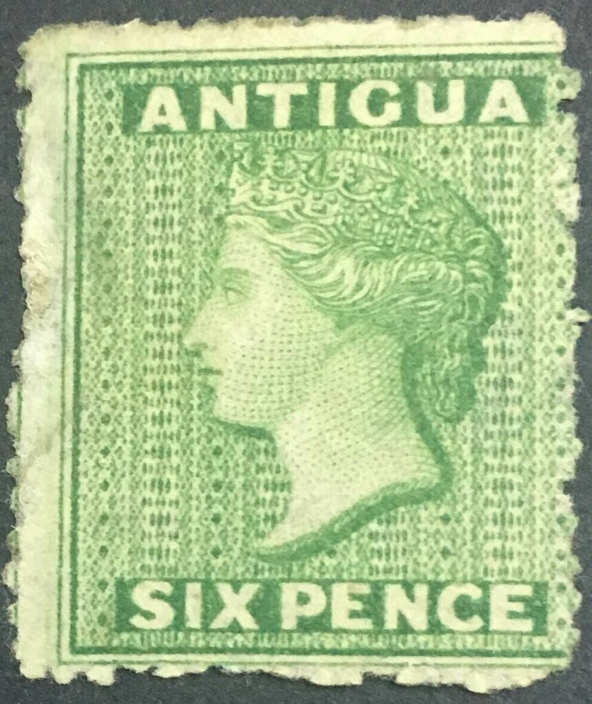 Parula Warbler (Setophaga americana)