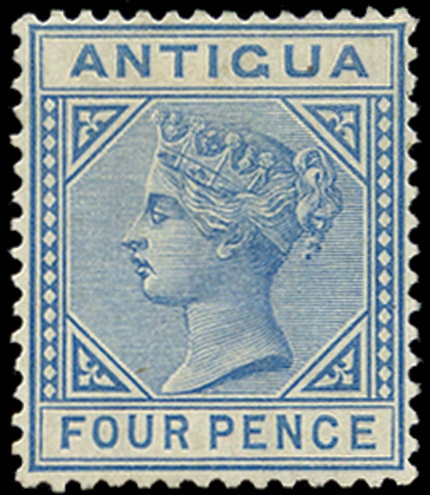 Checkered Swallowtail (Papilio demoleus)