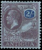 Sombrero Island Ground Lizard (Ameiva corvina)