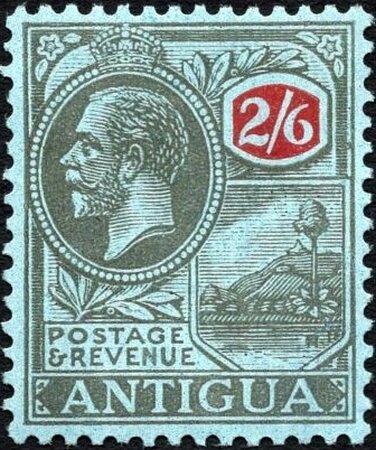 Purple Sea Fan (Gorgonia ventalina)