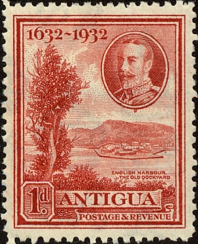 St Lucia Whiptail (Chemidophorus vanzoi)