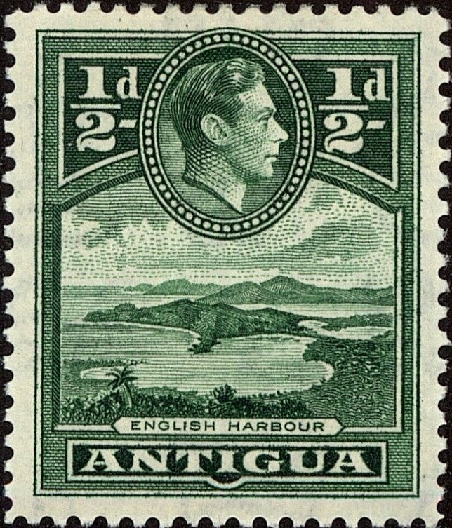 Yellow-banded Calisto (Calisto archebates)