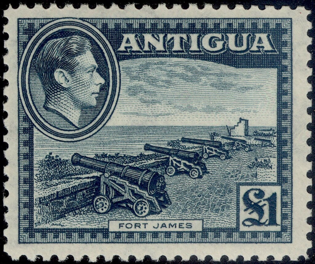 Green Heron (Butorides virescens) - Overprinted