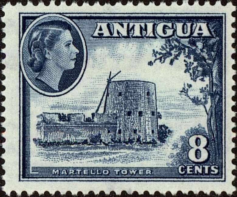 African Elephant (Loxodonta africana)