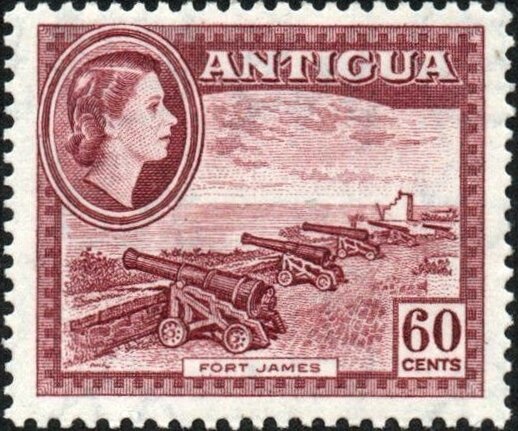 Audubon's Shearwater (Puffinus lherminieri) - Overprinted