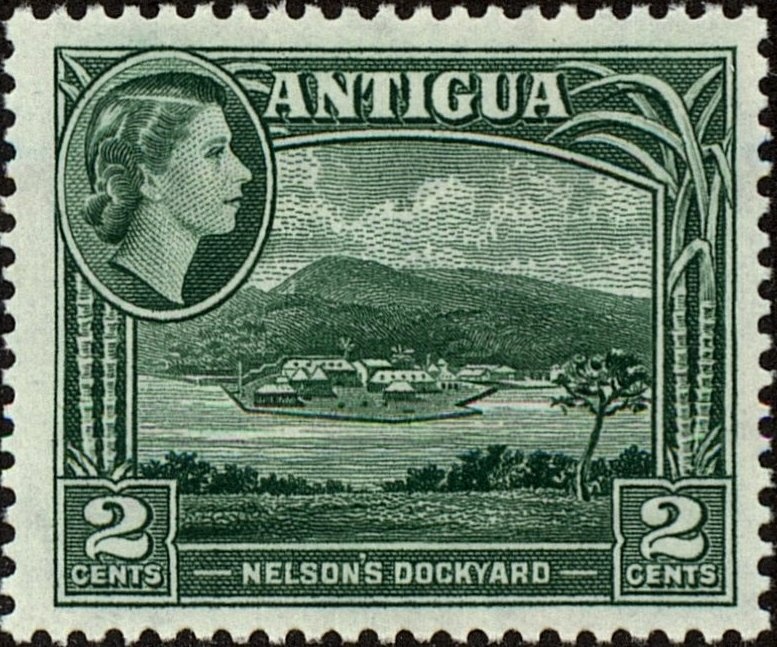 Painted Lady (Vanessa cardui)