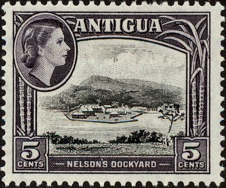 Spotted Moray (Gymnothorax moringa)