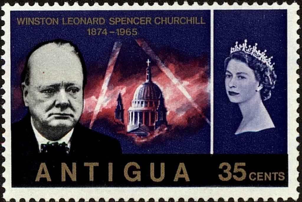 Malachite Butterfly (Siproeta stelenes)