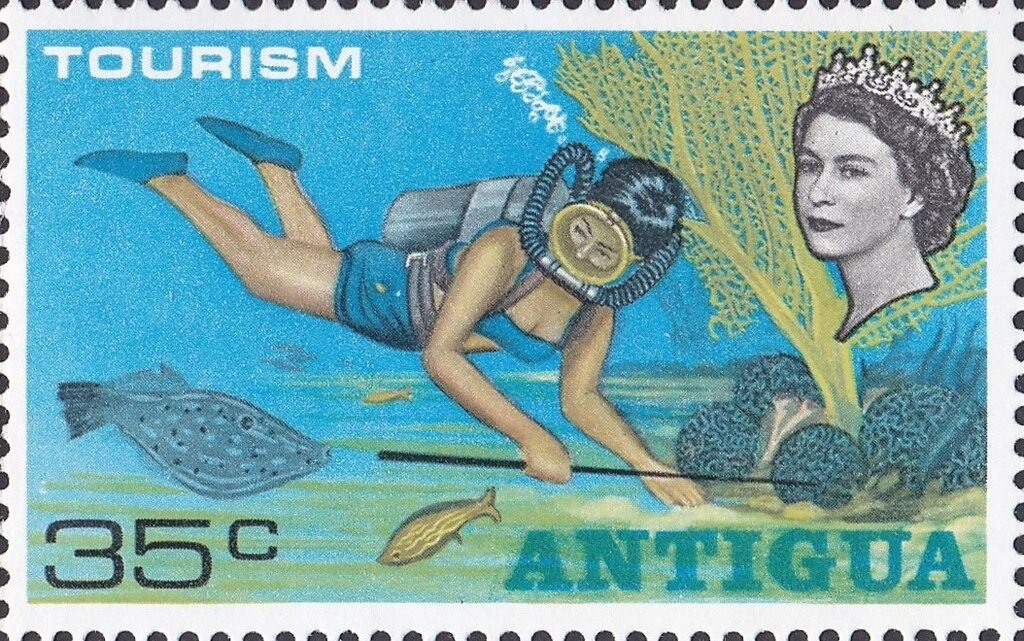 Leafwing Butterfly (Prepona xenagoras)