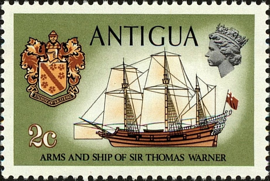 Flame of the Woods (Ixoria macrothyrsa)