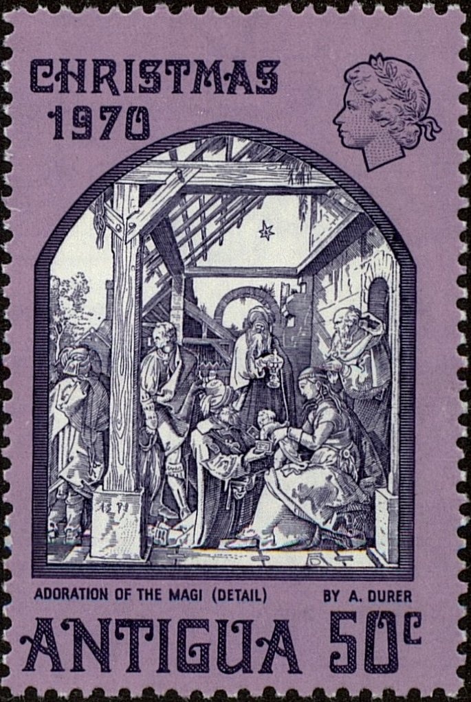 Bougainvillea (Bougainvillea spectabilis)