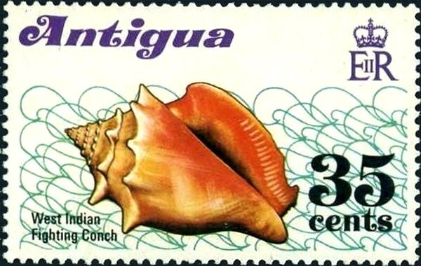 Association and Proficiency Badges