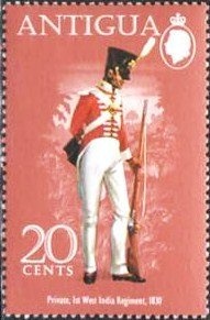 Mottled Leafwing (Polygrapha cyanea)