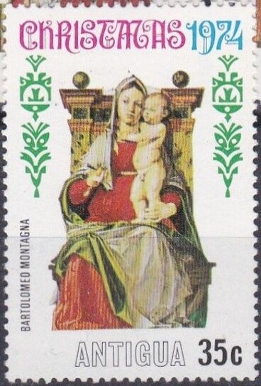 Green Sea Turtle (Chelonia mydas) - Overprinted